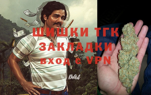 mdpv Белокуриха