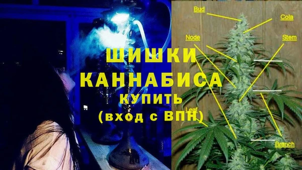 гашик Беломорск
