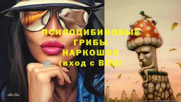 mdpv Белокуриха