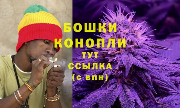 гашик Беломорск