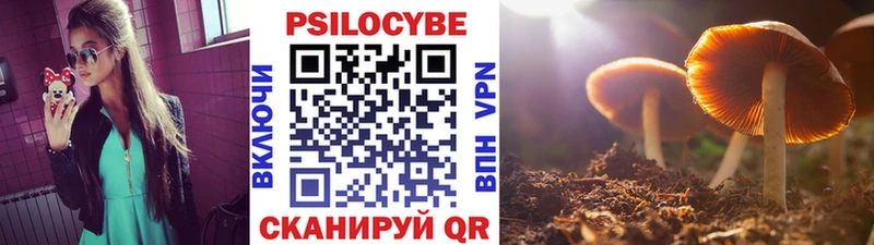 Псилоцибиновые грибы мухоморы  купить закладку  Пестово 